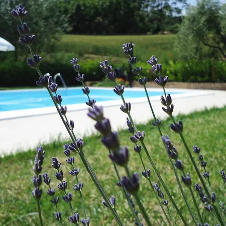 Casa Di Campagna * Corridonia