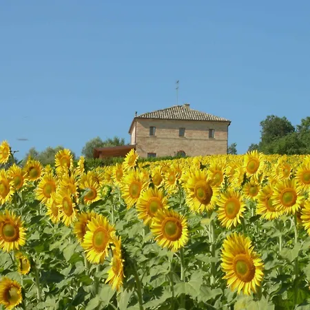בית נופש Casa Di Campagna